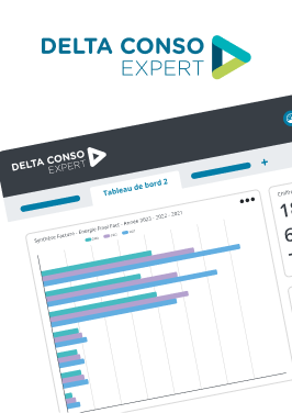 delta-conso
