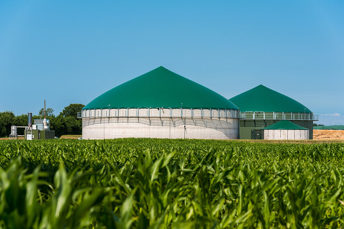 FranceAgriMer soutient l’innovation dans les vergers avec un nouveau programme d’aides