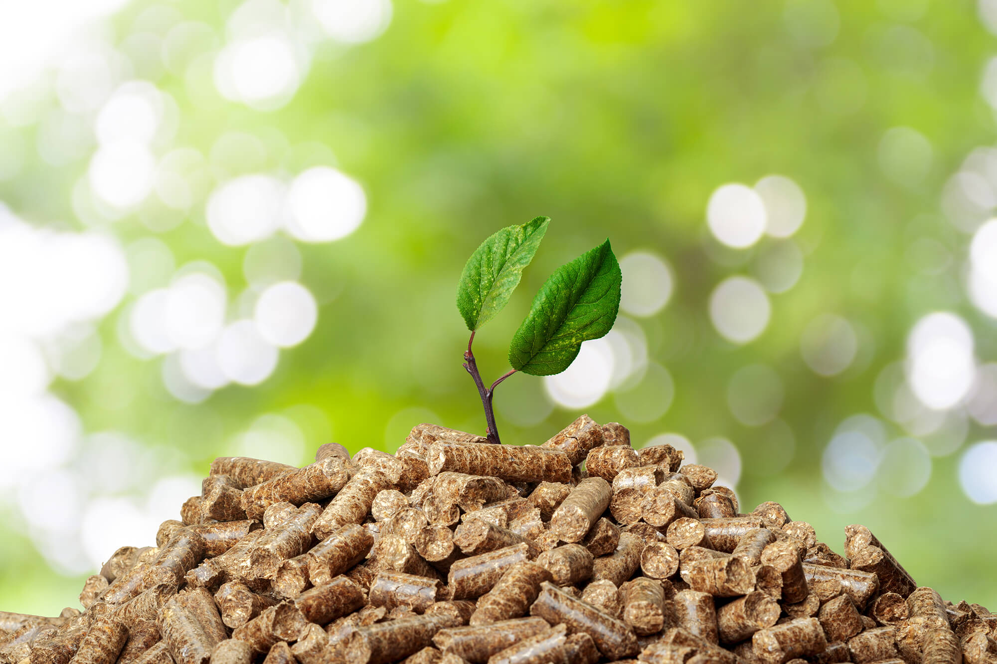 Décarbonez votre site industriel via la biomasse avec le BCIAT 2025/2026